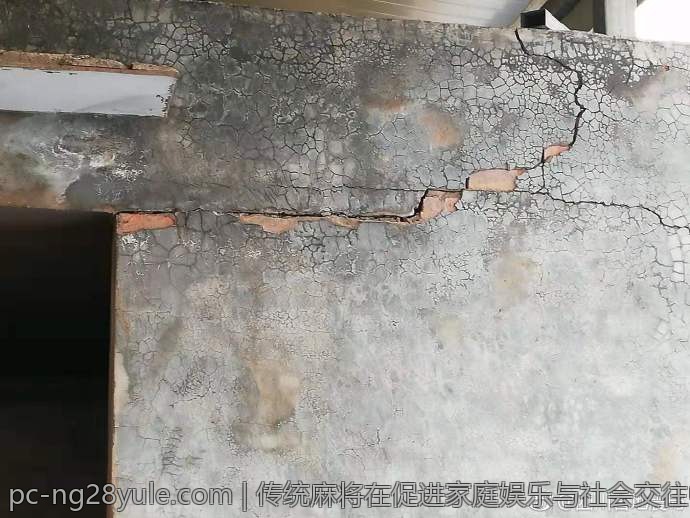 传统麻将在促进家庭娱乐与社会交往中的作用