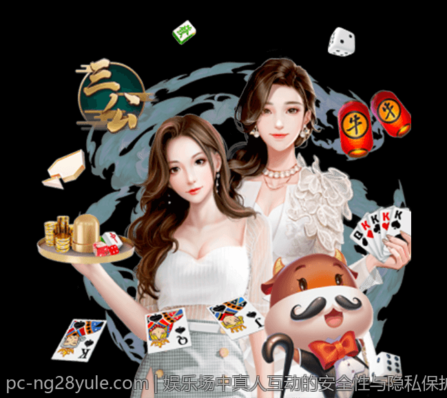 娱乐场中真人互动的安全性与隐私保护策略