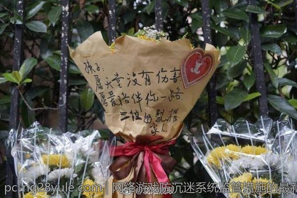 网络游戏防沉迷系统监管措施的最新政策调整内容