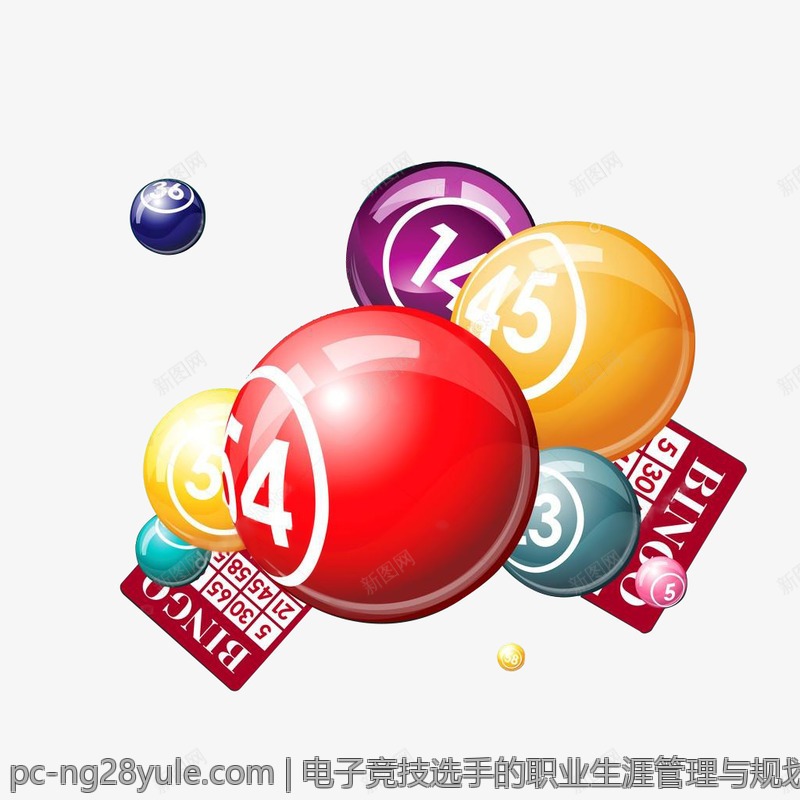 电子竞技选手的职业生涯管理与规划