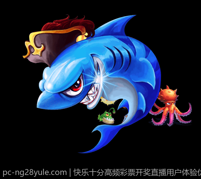 快乐十分高频彩票开奖直播用户体验优化